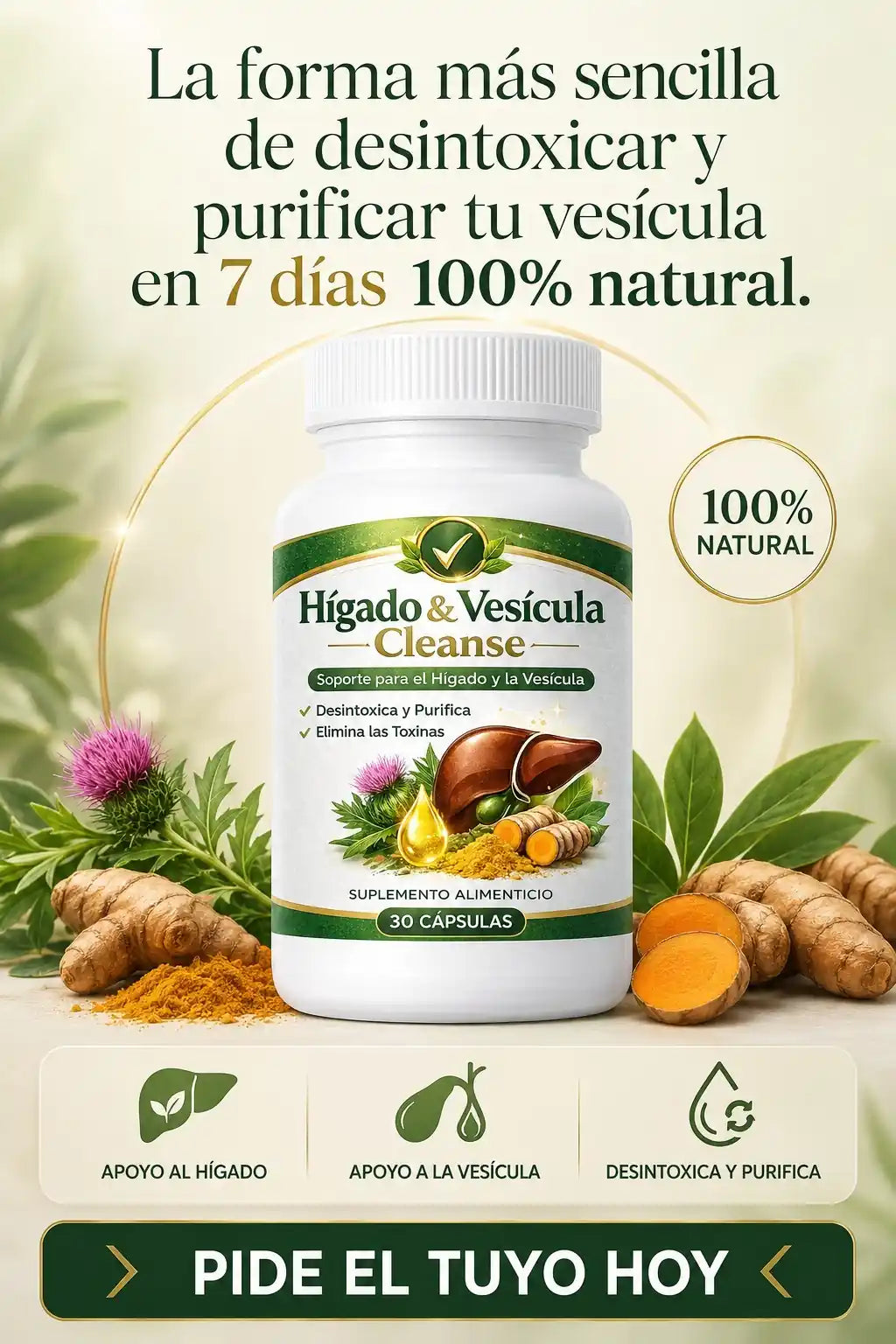 Hígado & Vesícula Cleanse