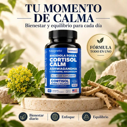¿Estresado y sin descansar? Recupera tu calma